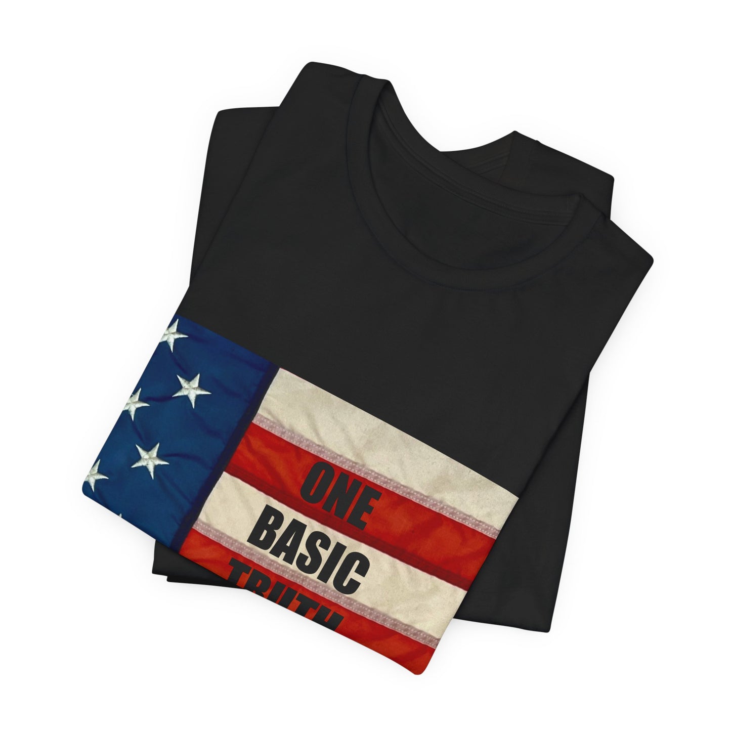 ONE BASIC TRUTH Flag Tee (2-Sided + Sleeve Print)